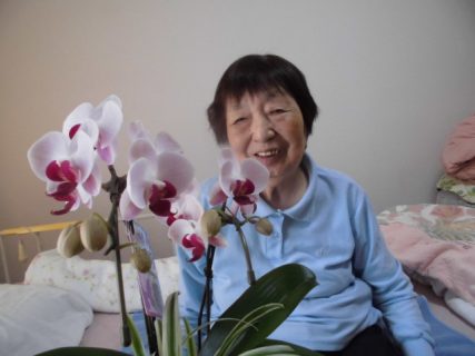 お花のプレゼント
