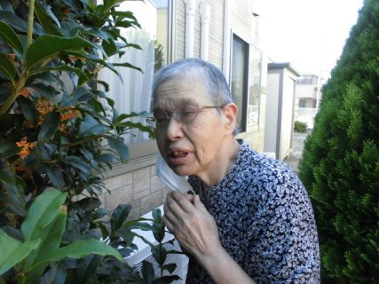 きんもくせいが咲いた様だよ