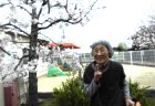 ちょっとお散歩