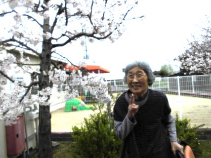 庭でお花見