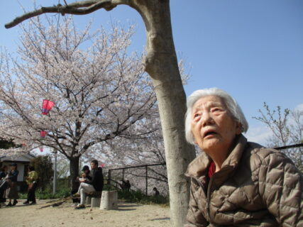 お花見